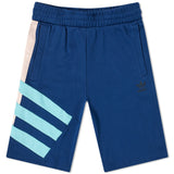 Adidas Shorts Dark Blue  FN2834 Men's