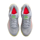 Nike Giannis Immortality 4 Wolf Grey / Metallic Silver  FQ3680-009 Men's
