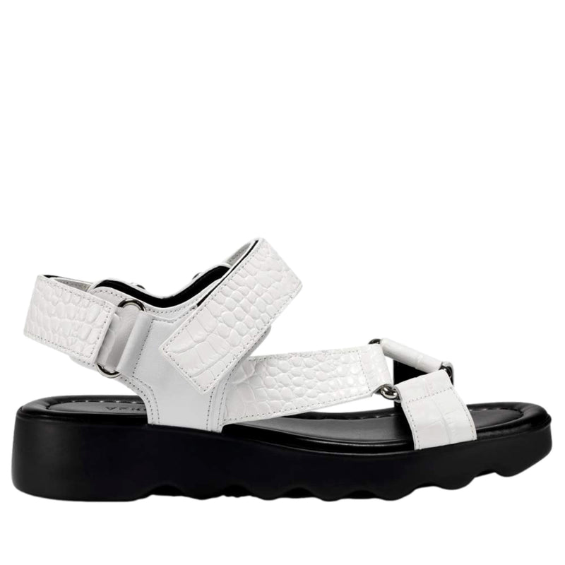 Aerosoles Wave White Croco  WAVE-WHTCROCO Women's