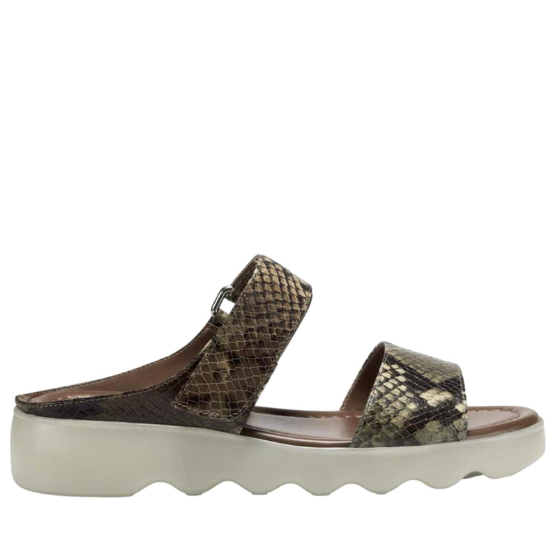 Aerosoles Willow Brown / Green Comb  WILLOW-BRWNGRN Women's