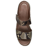 Aerosoles Willow Brown / Green Comb  WILLOW-BRWNGRN Women's